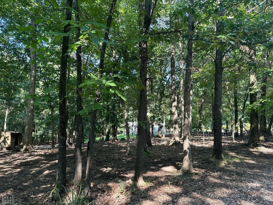 727 Greene 719 Rd, Paragould, AR 72450 - photo 1