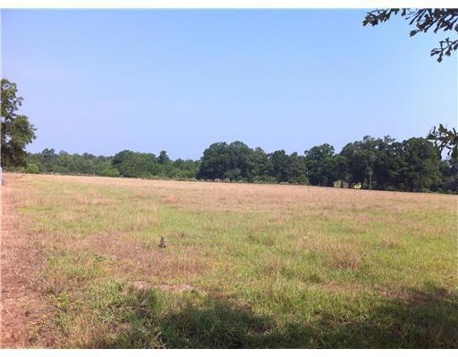 0 Hwy 424 Hwy, Franklinton, LA 70438 - photo 1