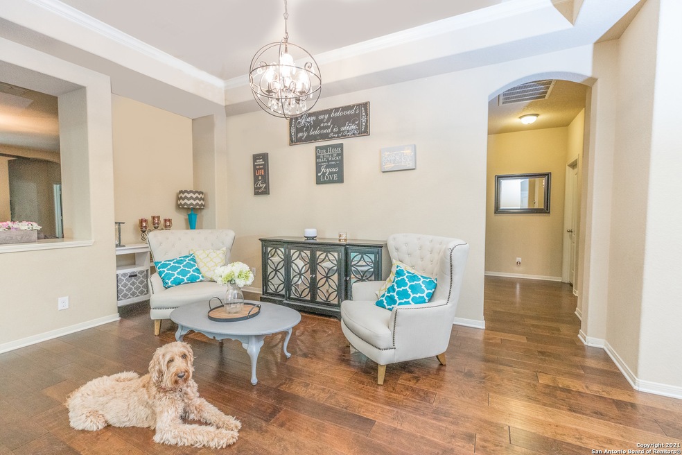 10611 Cosmos Canyon, Helotes, TX 78023 - photo 1