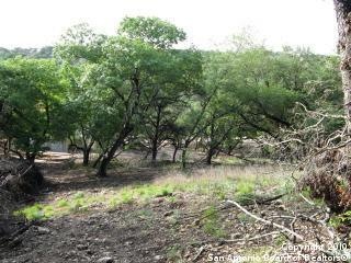 19631 Terra Mont, San Antonio, TX 78255 - photo 1