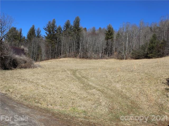 00 Will Anglin Rd, Price Creek, NC 28714 - photo 1