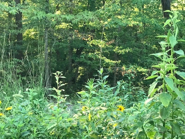 0 Camborne Dr unit 1227539, Bella Vista, AR 72714 - photo 1