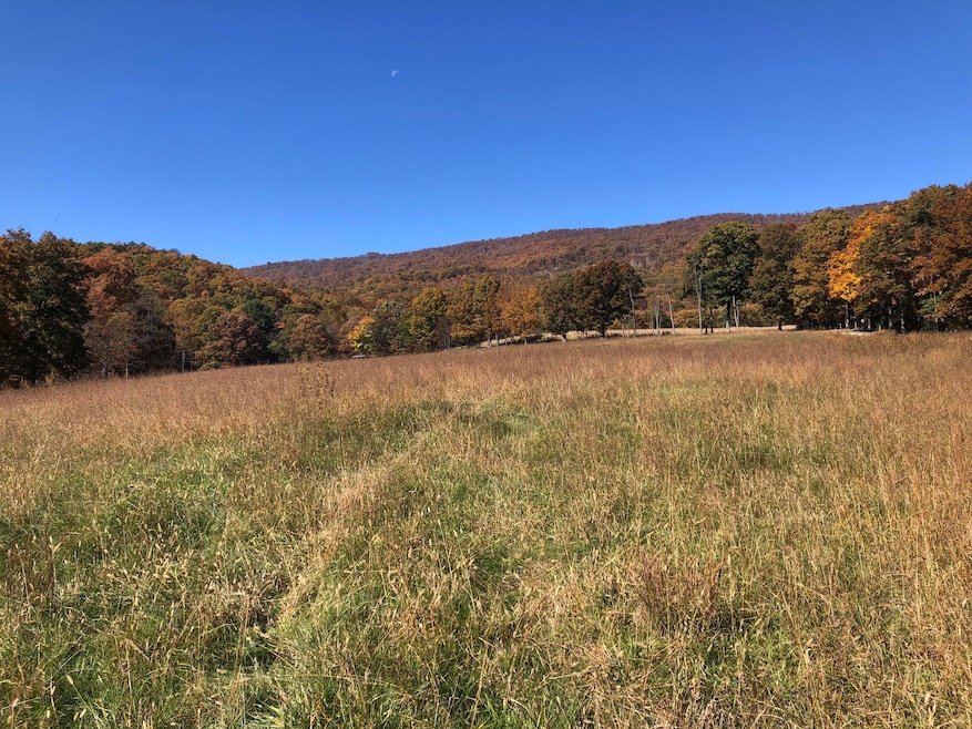 906 Wolfe Rd, Covington, VA 24426 - photo 1