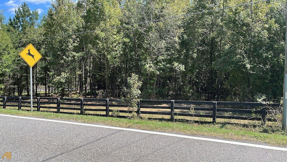 14225 Thompson Rd, Alpharetta, GA 30004 - photo 1