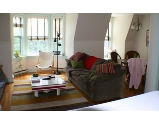 35 E Concord St unit 3, Boston, MA 02118 - photo 1