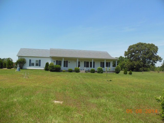 Main View