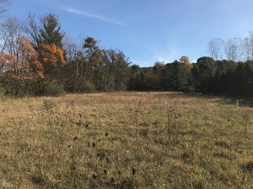 3035 4th St, Wayland, MI 49348 - photo 1