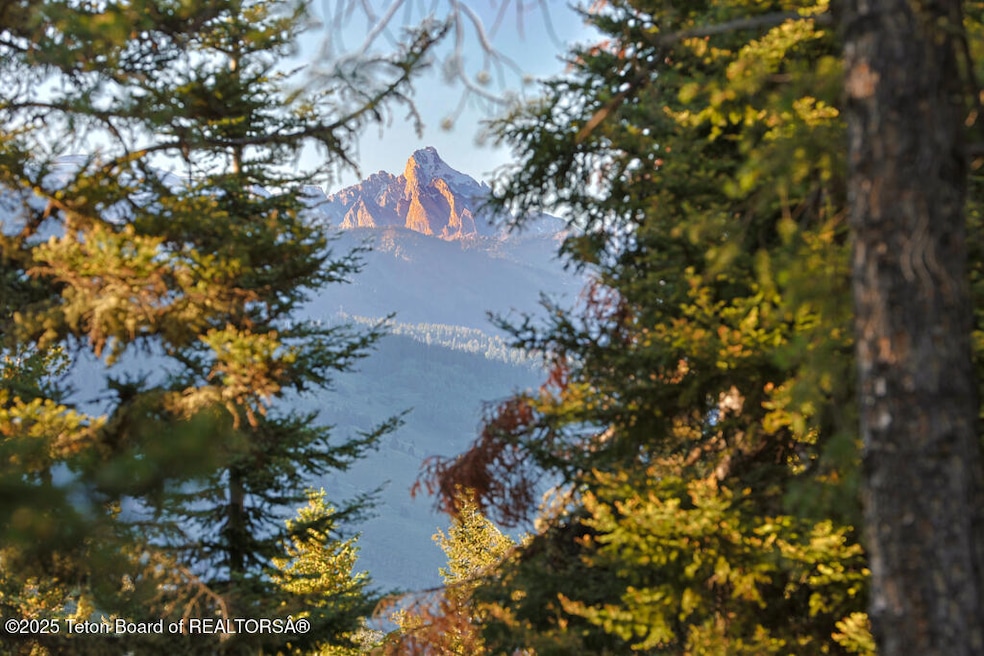 6620 Lupine Trail, Wilson, WY 83014 - photo 1