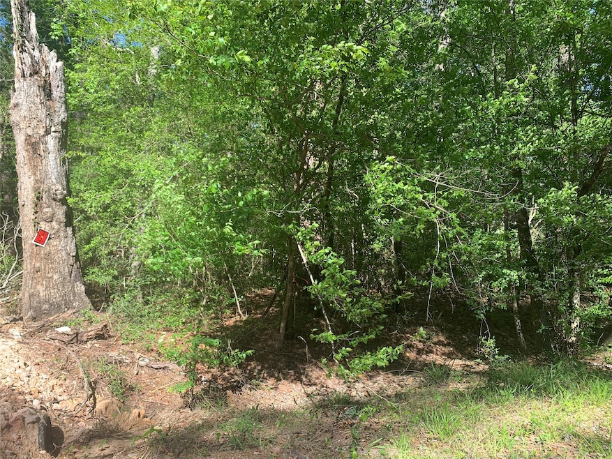 TBD N Lakewood Dr, Splendora, TX 77372 - photo 1