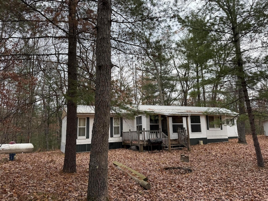 6644 W 9 Mile Rd, Irons, MI 49644 - photo 1