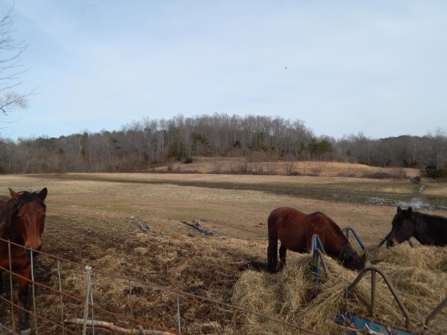 0 Toy Slatten Rd unit 931715, Sparta, TN 38583 - photo 1