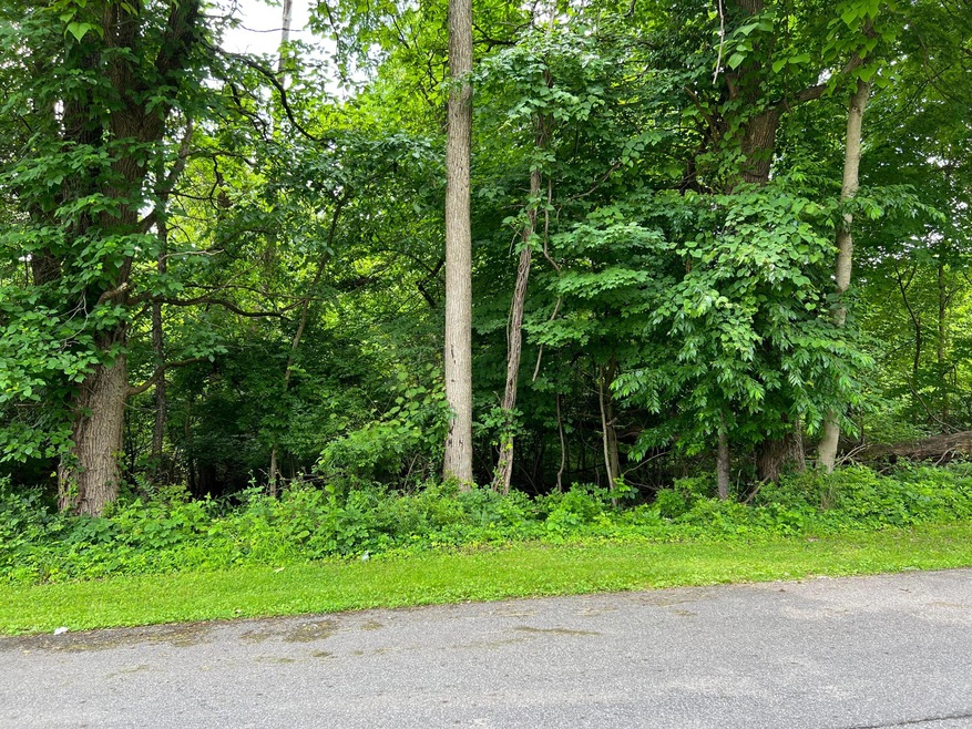 image_50756865