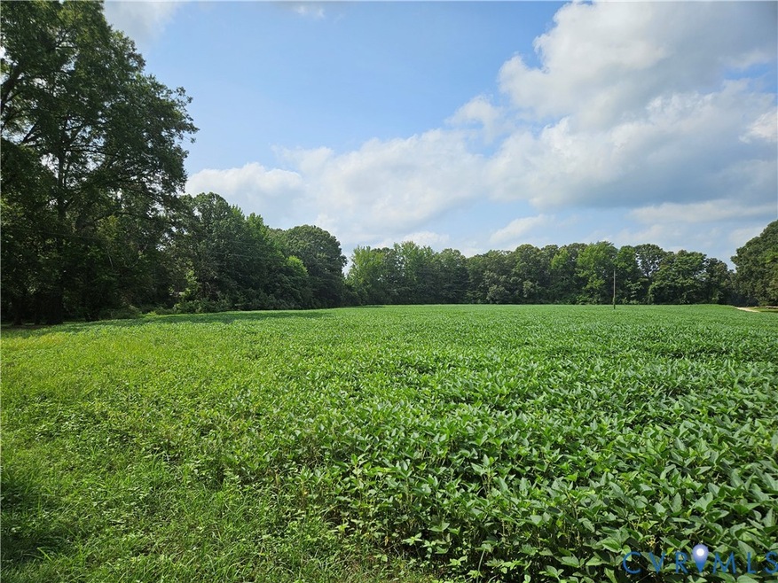 00 Ladysmith Rd, Ruther Glen, VA 22546 - photo 1