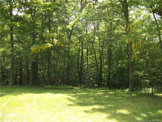 183 Bushy Hill Rd, Deep River, CT 06417 - photo 1