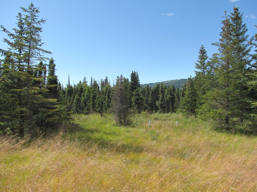 Combinatio meadows and spruce