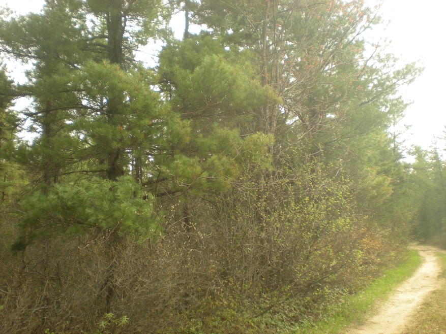 Murphy creek trail 20 and 40 ac parcel 0