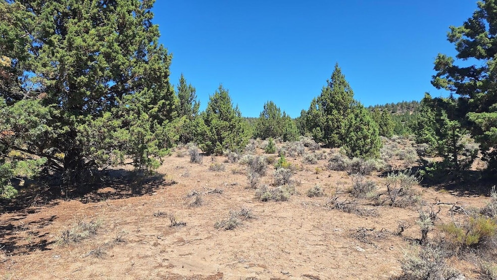 For Sale $45,000 • Co-Listing Agent