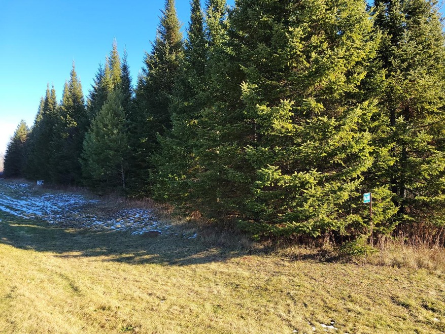 ON Cth A, Deerbrook, WI 54424 - photo 1