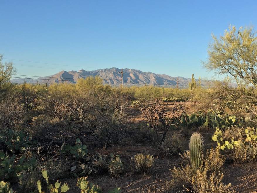 LOT 4 ~ LAZY C RANCH
