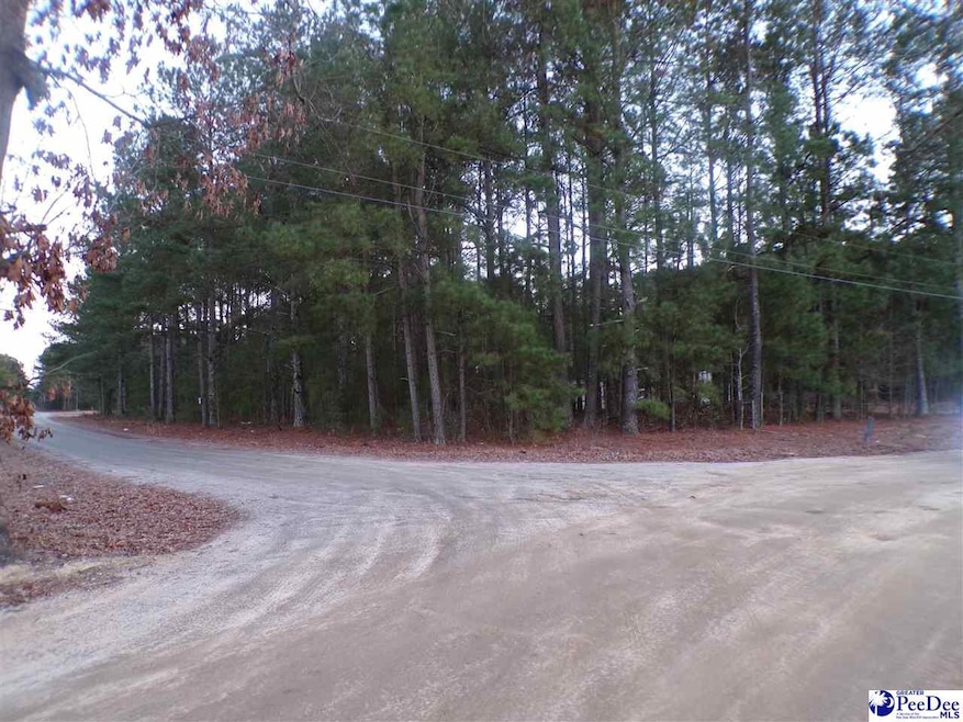 TBD New Holly & Millwood, Dillon, SC 29536 - photo 1