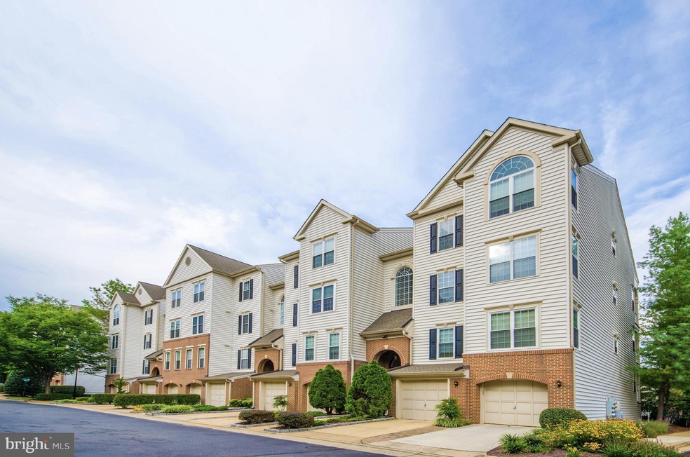 4656 Lambert Dr unit 1, Alexandria, VA 22311 - photo 1