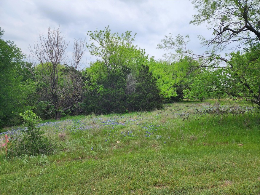 12084 Rolling Oaks Dr, Whitney, TX 76692 - photo 1