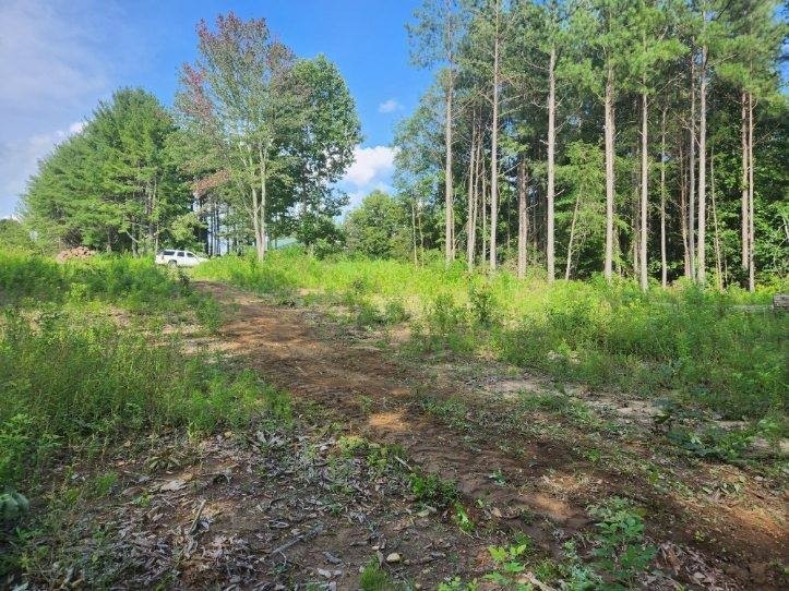 0 Thomas Springs Rd, Crossville, TN 38572 - photo 1