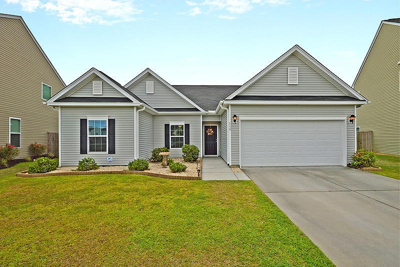 115 Weeping Cypress front view