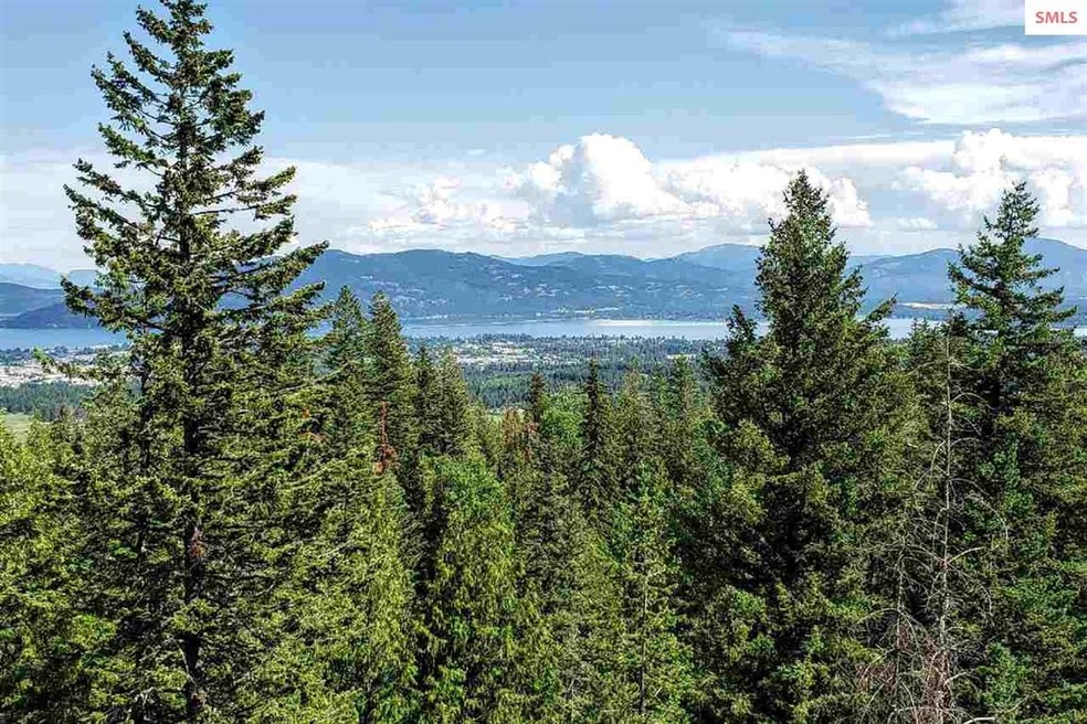 239 Inspiration Way, Sandpoint, ID 83864 - photo 1