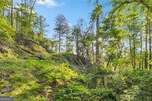 0 Chastain Ct unit 10648032, Marble Hill, GA 30148 - photo 1