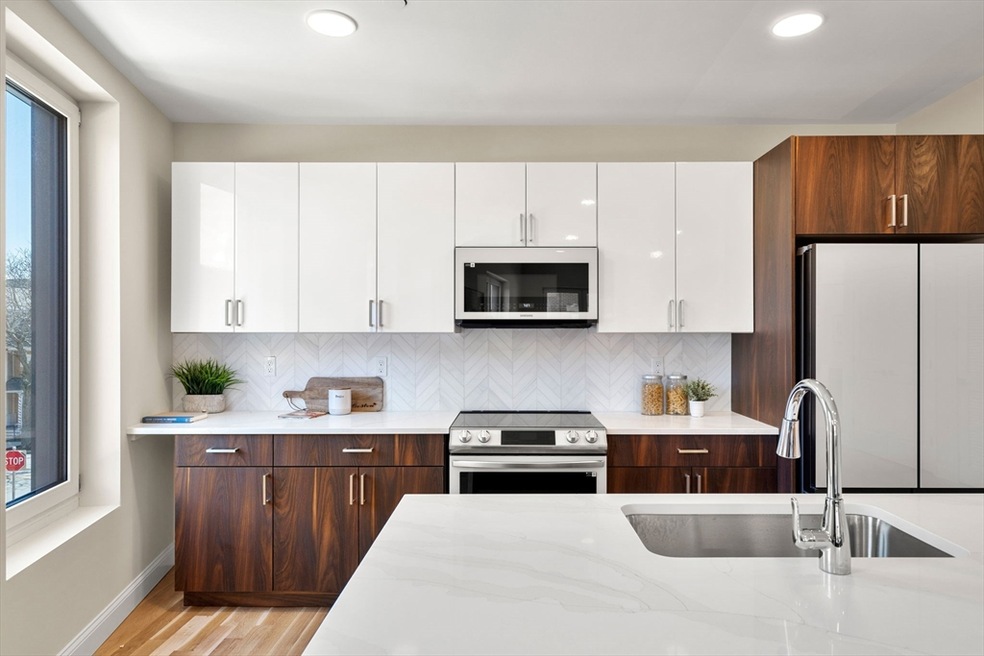 16 Taber St unit 305, Boston, MA 02119 - photo 1