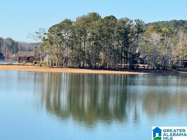 209 Pitchford Way, Alexander City, AL 35010 - photo 1