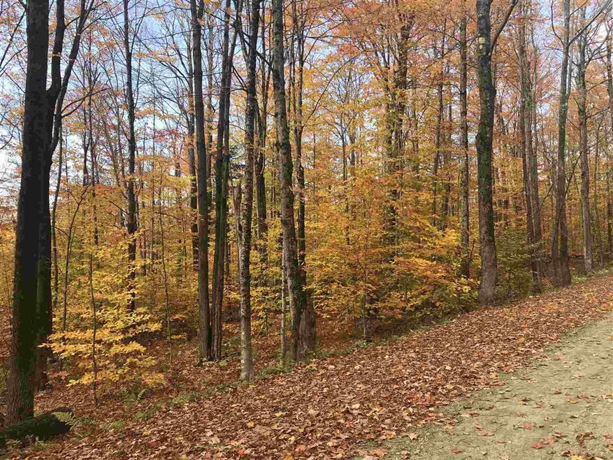 105 Slawson Rd, Weston, VT 05161 - photo 1