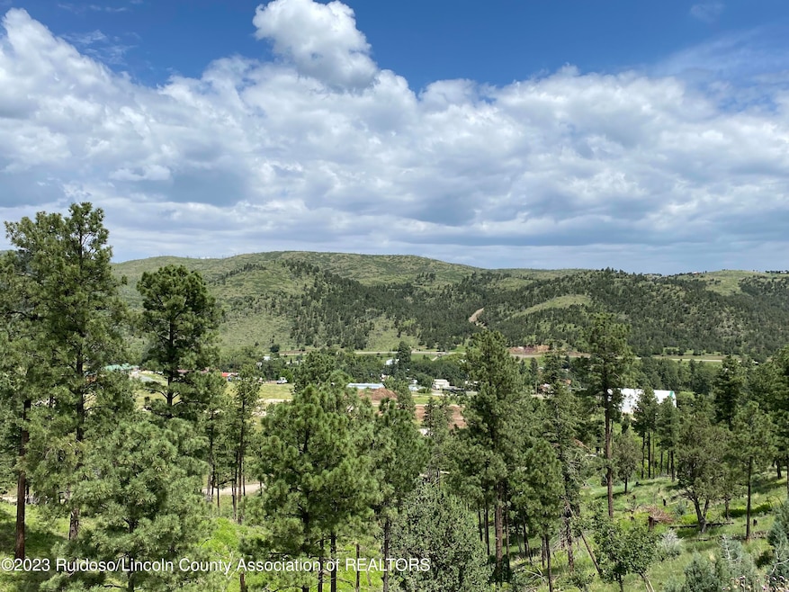 TRACT 3 Hwy 37, Angus, NM 88316 - photo 1