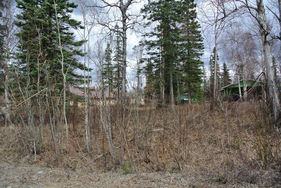 E. Caribou Loop