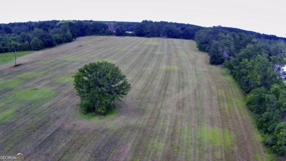 30 acres Union Rd, Hahira, GA - photo 1