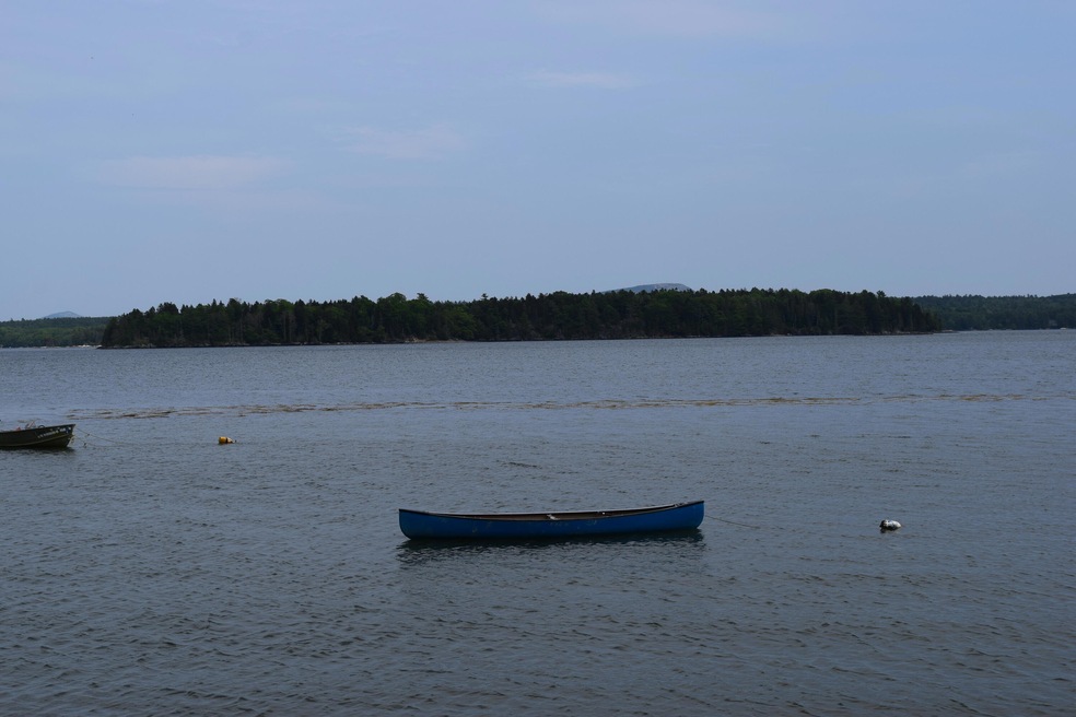 DSC_0337