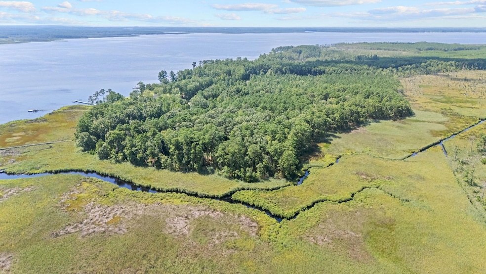 0 Batemans Creek Rd, Pantego, NC 27810 - photo 1