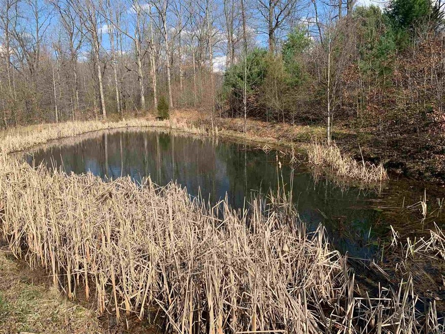 7559 E State Road 54, Bloomfield, IN 47424 - photo 1