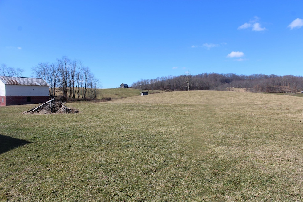 8047 Webster Rd (Rader Family Farm) unit 8047, Summersville, WV 26651 - photo 1