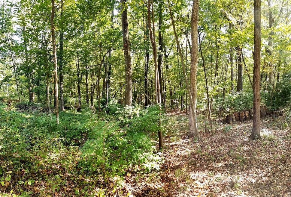 For Sale $259,900 • Co-Listing Agent