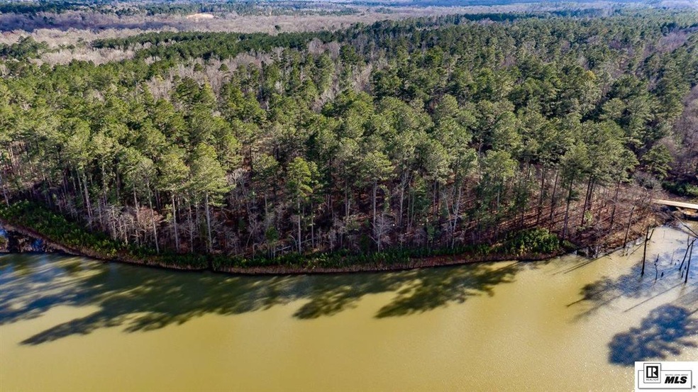 0 (Lot 4) Woods Rd, Ruston, LA 71270 - photo 1