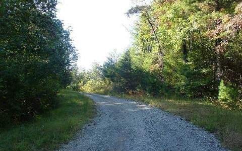 0 Echota Falls Dr unit 223700, Ellijay, GA 30540 - photo 1