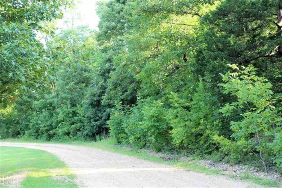 6977 560 Gr, Paragould, AR 72450 - photo 1