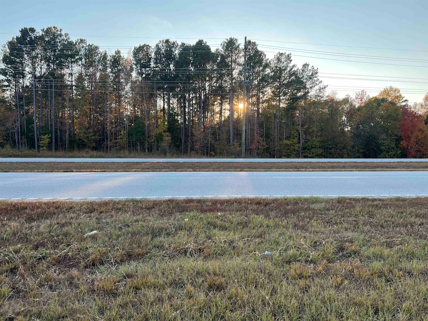 1375 Furman L Fendley Hwy (Us Hwy 176), Union, SC 29379 - photo 1