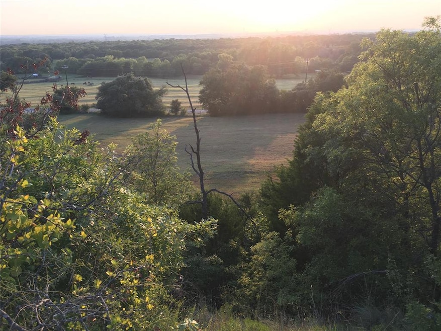 TBD Oak Ridge Estate, Springtown, TX 16082 - photo 1