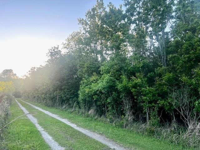 0 Bellingrath Rd unit 7560719, Theodore, AL 36582 - photo 1