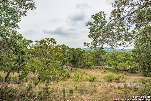 24380 Scenic Loop Rd, San Antonio, TX 78255 - photo 1