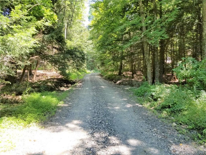 8 Evergreen Dr, Roxbury, CT 06783 - photo 1