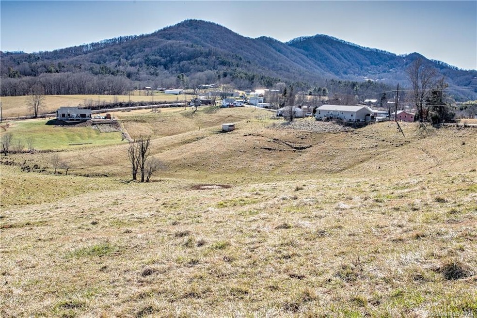 518 Newfound Rd, Leicester, NC 28748 - photo 1